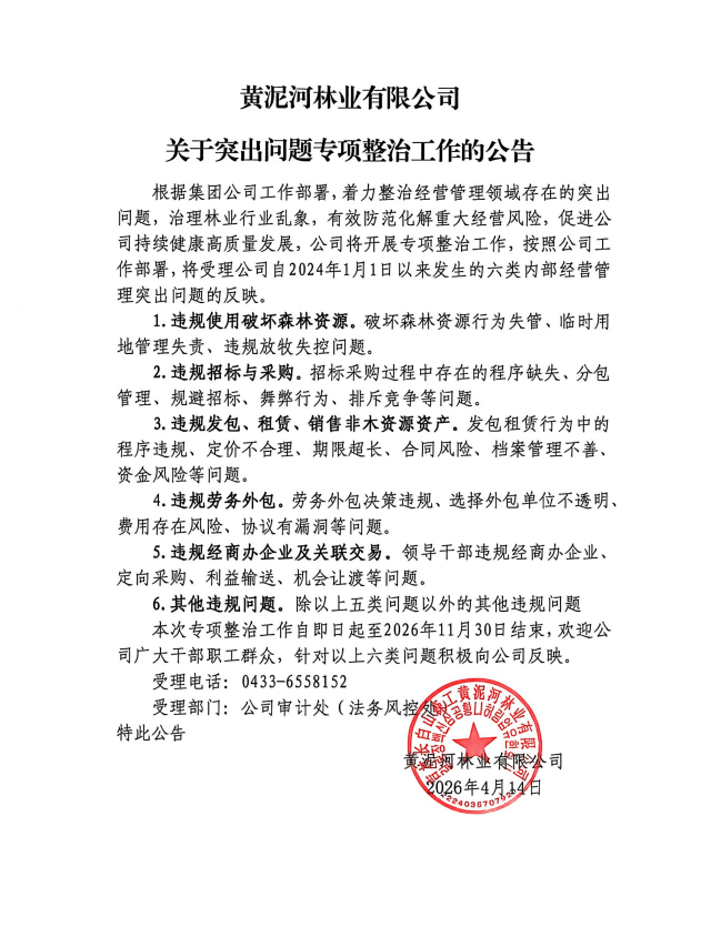 关于突出问题专项整治工作的公告_01.png
